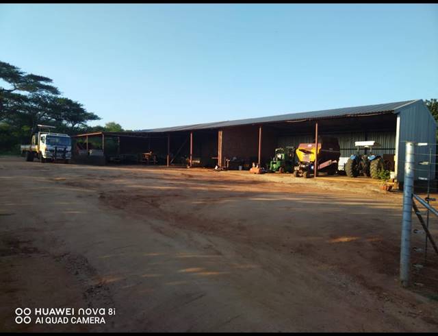 29HA FARM FOR SALE IN LEVUBU